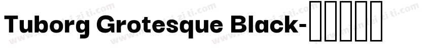 Tuborg Grotesque Black字体转换